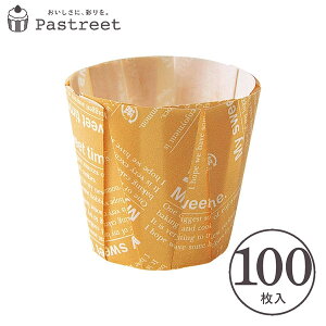 ybg P[LJbv M(IWS) 100 Ɩp `[YP[L ^ A`[YP[L Kg[VR w  V MC92-100 nEB