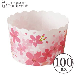 ybg }tBJbv L(`F[ubT) 100 Ɩp }tB^ JbvP[L P[LJbv x[LOJbv { ^ ĝ   Č^ v[g َq  