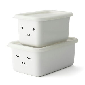 ~btB[tFCX [^pe2_Zbg z[[e ۑe e ق낤 XgbJ[ MFF2DSM-1