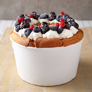 [ VtHJbv 15cm() 25 VtHP[L ^ x[LOJbv P[L^ { ^   Č^ v[g َq  ٗpi w  V RS101-25