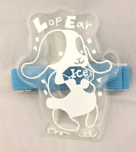 ۗ bvC[rbg`oht(×NA) 1 ٓ ` eCNAEg 킢 xgt WEB31-1