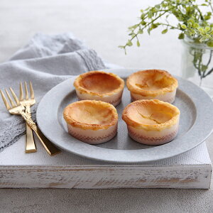 `[YP[LJbv S(L[rbN) 100 Ɩp `[YP[L ^ A`[YP[L Kg[VR w  V CH72-100