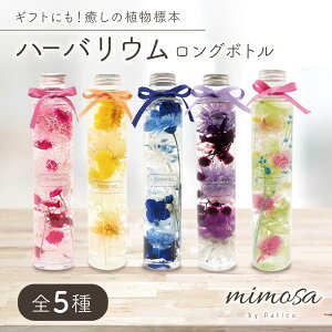 n[oE O{g i {   Mtg a v[g LO j j G CeA 蕨 ͂Ȃ vU[uht[ 