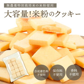 米粉クッキー 1000円 ポッキリ 送料無料 訳あり 大容量 クッキー 焼き菓子 子供 保存料不使用 香料不使用 国産米 おやつ お菓子 送料無料 内祝い 手土産 プレゼント 洋菓子 スイーツ Patico プレゼント ギフト