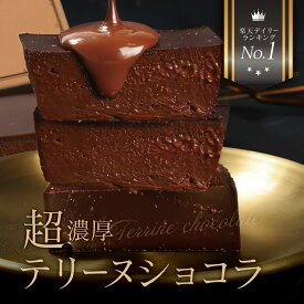 スイーツ テリーヌショコラ 1本 送料無料 冷凍 取り寄せ テリーヌ ショコラ ガトーショコラ チョコテリーヌ チョコケーキ チョコレートケーキ プレゼント お取り寄せスイーツ グルメ【a】