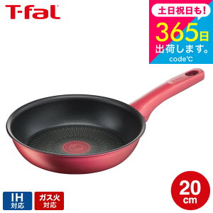 iyEj eBt@[ T-fal IH[WEA~ebh tCp 20cm IHEKXΑΉ G26202 t-fal T-FAL tfal v[g tCp JGS ŋz 
