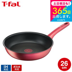 iyEj eBt@[ T-fal IH[WEA~ebh tCp 26cm IHEKXΑΉ G26205 t-fal T-FAL tfal v[g tCp JGS ŋz 