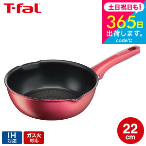 iyEj eBt@[ T-fal IH[WEA~ebh }`p 22cm IHEKXΑΉ G26275 t-fal T-FAL tfal v[g tCp JGS ŋz 
