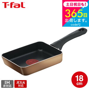 iyEjeBt@[ T-fal nj[S[h GbO[X^[ 12×18cm B-58618 KXΐpEIHs / Ă Ă tCp ʎqĂ t-fal T-FAL tfal v[g tCp