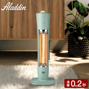 iyEj AW Ot@Cgq[^[ RpNg^Cv AEH-G409N(G) AEH-G409N(W)  / Aladdin dCXg[u y q[^[ ԊOq[^[ dCq[^[ g ȃGl  