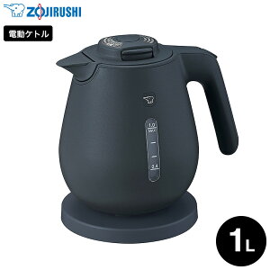 ۈ dCPg 1.0L CK-DC10  / 1L Pg ]|h~ {̓d\ CX قubN 󂾂h~ dC|bg |bg  zCg ubN x[W ZOJI