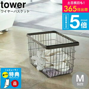 iyEj yr[Tz[ h[C[oXPbg M ^[ ] ^[R  tower zCg/ubN 3160 3161 / 󂩂 C[oXPbg E߂ 󕨓 V