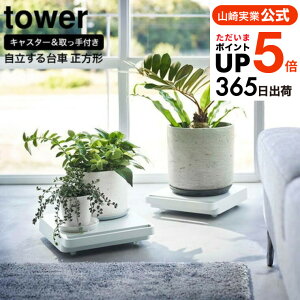 iyEj [  ^[ ` ] R tower zCg/ubN 5455 5456 /  z[L[ L[J[g tbg @ q[^[ C@  ړ 