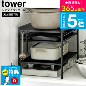 yr[Tz[ ߃VNbN ^[ 3i ] ^[R tower Lb` 2011 2012 zCg ubN / [I VN [ 䉺 ʑ䉺 Lb`[ I tbNt