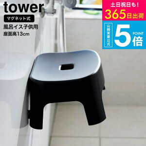 [ }OlbgCCX ^[ LbYp SH13 ] ^[R  tower C 1852 1853 zCg ubN / 13cm qp C֎q C oX`FA ǂ LbY [  ^