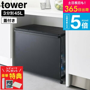 山崎実業 ゴミ箱 45リットル」の人気商品一覧・価格比較 - 価格.com