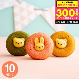母の日スイーツギフト 内祝い お菓子 個包装 ”子供も大人も嬉しい” 可愛いスイーツ ＼楽天1位／出産内祝い アニマルドーナツ 10個（ANM-25） /かわいい おしゃれ 焼き菓子 結婚内祝い 新築祝い 出産祝い 日持ち 洋菓子 詰め合わせ 3000円 台 gws お返し 父の日ギフト