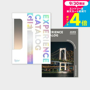 SOW EXPERIENCE \E GNXyGX J^OMtg ̌^J^OMtg  J^OMtgiSILVERj / ŃV[Y MtgJ^O ̌Mtg`Pbg s j av