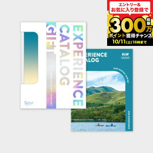 ̌^J^OMtg ŃJ^OMtgiBLUEj / SOW EXPERIENCE \E GNXyGX ŃV[Y MtgJ^O ̌ s s V vw LO a 蕨  җ 