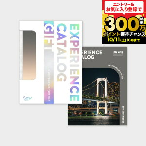 SOW EXPERIENCE \E GNXyGX J^OMtg ̌^J^OMtg  J^OMtgiSILVERj / ŃV[Y MtgJ^O ̌Mtg`Pbg s j av