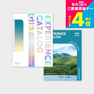 Ε Mtg ̌^J^OMtg ŃJ^OMtgiBLUEj / SOW EXPERIENCE \E GNXyGX ŃV[Y MtgJ^O ̌ s s V vw LO a 