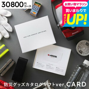 Ε Mtg J[h^J^OMtg g hЃJ^OMtg J[h^Cv [hЃObY webJ^OMtg AbgXL[ produced by LAEPITA ܂] s^ at RESCUE hЗpi 