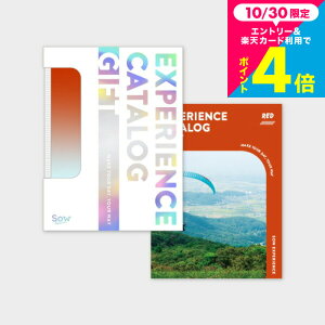 Ε Mtg ̌^J^OMtg ŃJ^OMtgiREDj / SOW EXPERIENCE \E GNXyGX ŃV[Y MtgJ^O ̌ s s j V vw e LO