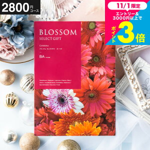 Ε Mtg J^OMtg ubT BAR[X ^j^Ԃ^j^ԗi^o^j^o^oYj^LOi^J^OMtg^MtgJ^O Hו 