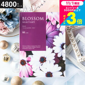 Ε Mtg J^OMtg ubT BER[X j Ԃ j ԗi o j o oYj LOi J^OMtg MtgJ^O Hו bZ[WJ[h