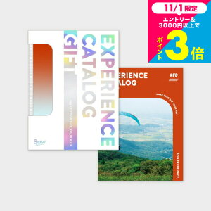 Ε Mtg ̌^J^OMtg ŃJ^OMtgiREDj / SOW EXPERIENCE \E GNXyGX ŃV[Y MtgJ^O ̌ s s j V vw e LO