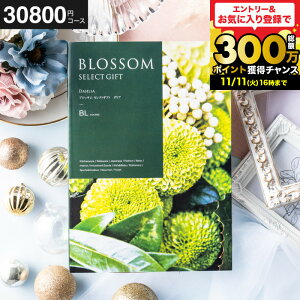 Ε Mtg J^OMtg3~ ubT BLR[X j Ԃ j o j o oYj LOi OMtg MtgJ^O Hו z bZ[WJ[