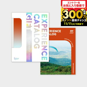 Ε Mtg ̌^J^OMtg ŃJ^OMtgiREDj / SOW EXPERIENCE \E GNXyGX ŃV[Y MtgJ^O ̌ s s j V vw e LO