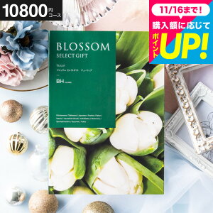 Ε Mtg J^OMtg ubT BHR[X j Ԃ j ԗi o j o oYj LOi J^OMtg MtgJ^O Hו bZ[WJ[h