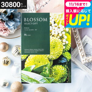 Ε Mtg J^OMtg3~ ubT BLR[X j Ԃ j o j o oYj LOi OMtg MtgJ^O Hו z bZ[WJ[