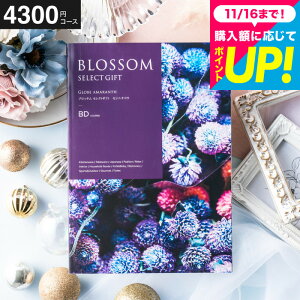 Ε Mtg J^OMtg ubT BDR[X j Ԃ j ԗi o j o oYj LOi J^OMtg MtgJ^O Hו bZ[WJ[h