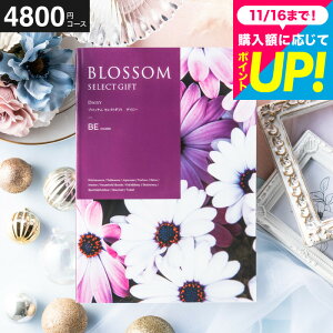 Ε Mtg J^OMtg ubT BER[X j Ԃ j ԗi o j o oYj LOi J^OMtg MtgJ^O Hו bZ[WJ[h