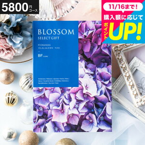 Ε Mtg J^OMtg ubT BFR[X j Ԃ j ԗi o j o oYj LOi J^OMtg MtgJ^O Hו bZ[WJ[h