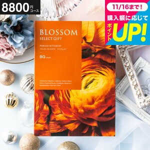 Ε Mtg J^OMtg ubT BGR[X j Ԃ j ԗi o j o oYj LOi J^OMtg MtgJ^O Hו bZ[WJ[h