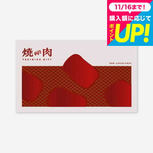 SOW EXPERIENCE \E GNXyGX J^OMtg ̌^J^OMtg ēMtg O  `Pbg vw e j LO v[g a 蕨 H j Ԃ j