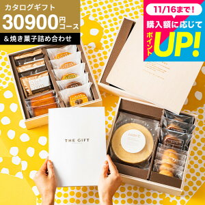 J^OMtgƂَq ؔ XC[cZbg j 3~ j v[g oYj  MtgZbg [code R[hV[ v~AJ^OMtgv~AXC[c{b