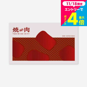 SOW EXPERIENCE \E GNXyGX J^OMtg ̌^J^OMtg ēMtg O  `Pbg vw e j LO v[g a 蕨 H j Ԃ j