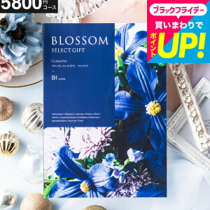 J^OMtg ubT BIR[X j Ԃ j ԗi o j o oYj LOi J^OMtg MtgJ^O Cj Ԃ Nz ΂ i 