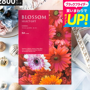 Ε Mtg J^OMtg ubT BAR[X ^j^Ԃ^j^ԗi^o^j^o^oYj^LOi^J^OMtg^MtgJ^O Hו 