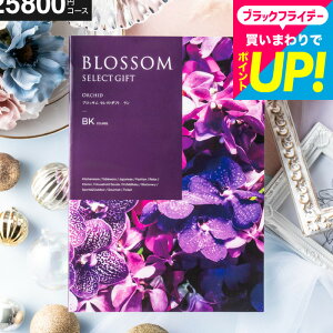 Ε Mtg J^OMtg ubT BKR[X j Ԃ j ԗi o j o oYj LOi J^OMtg MtgJ^O Hו bZ[WJ[h