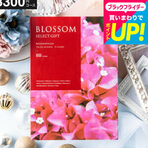 Ε Mtg J^OMtg ubT BBR[X ^j^Ԃ^j^ԗi^o^j^o^oYj^LOi^J^OMtg^MtgJ^O Hו 