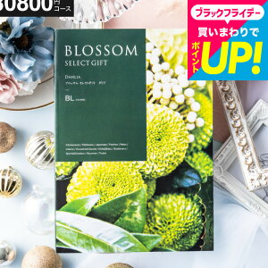 Ε Mtg J^OMtg3~ ubT BLR[X j Ԃ j o j o oYj LOi OMtg MtgJ^O Hו z bZ[WJ[