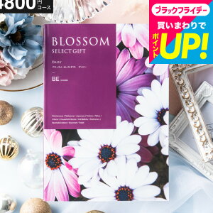 Ε Mtg J^OMtg ubT BER[X j Ԃ j ԗi o j o oYj LOi J^OMtg MtgJ^O Hו bZ[WJ[h