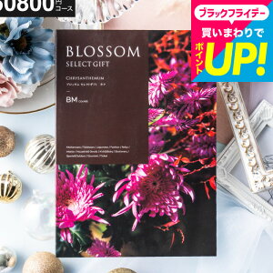 Ε Mtg J^OMtg ubT BMR[X j Ԃ j ԗi o j o oYj LOi J^OMtg MtgJ^O Hו z bZ[W