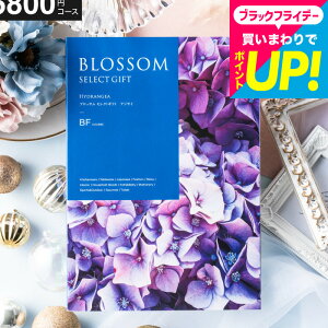 Ε Mtg J^OMtg ubT BFR[X j Ԃ j ԗi o j o oYj LOi J^OMtg MtgJ^O Hו bZ[WJ[h