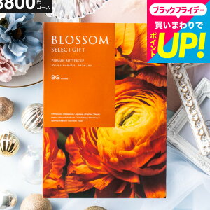 Ε Mtg J^OMtg ubT BGR[X j Ԃ j ԗi o j o oYj LOi J^OMtg MtgJ^O Hו bZ[WJ[h